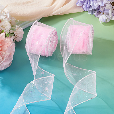 Polyester Deco Mesh Ribbons OCOR-TAC0024-004C-1