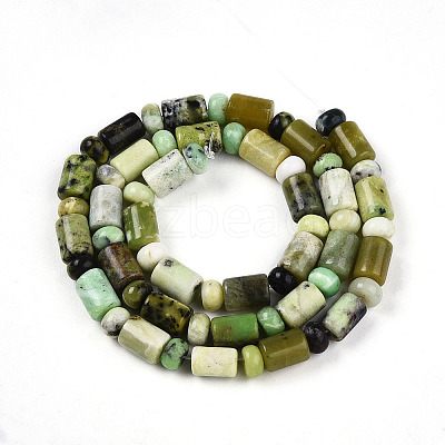 Natural Serpentine Beads Strands G-N346-03A-04-1
