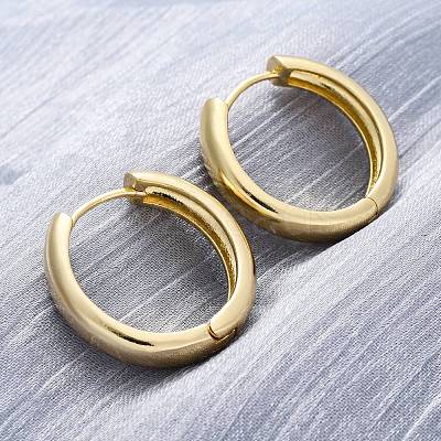 Brass Huggie Hoop Earrings EJEW-F260-01B-G-1