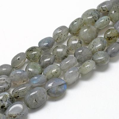 Natural Labradorite Beads Strands G-R445-8x10-20-1