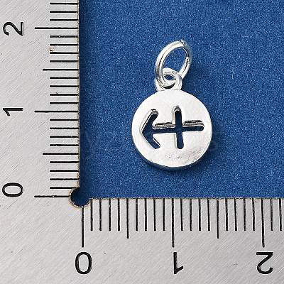925 Sterling Silver Constellations Charms STER-M118-01A-1