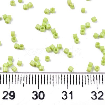 FGB 11/0 Grade A Glass Seed Beads X-SEED-S030-1013-1