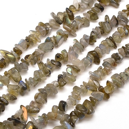 Natural Labradorite Chip Bead Strands G-M205-13-1