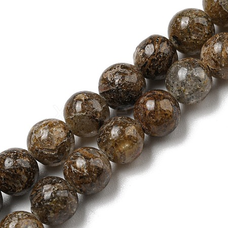 Natural Golden Leaf Jasper Beads Strands G-R494-A20-02-1