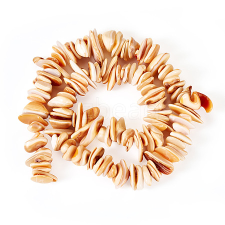 1 Strand Natural Seashell Shell Beads Strands SSHEL-TA0001-13-1