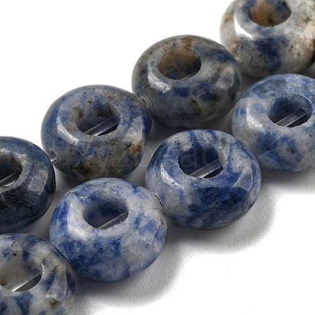 Natural Blue Spot Jasper Beads Strands G-P536-A11-01-1