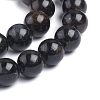 Natural Labradorite Beads Strands G-L505-07-10mm-2