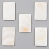 Natural Freshwater Shell Cabochons SHEL-S276-105B-1