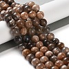 Natural Black Sunstone Beads Strands G-U009-A01-04-2