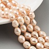 Natural Cultured Freshwater Pearl Beads Strands PEAR-P062-13B-2