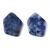 Natural Blue Spot Jasper Cabochons G-S359-323B-2