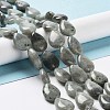 Natural Labradorite Beads Strands G-L242-35-2