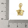 Rack Plating Brass Micro Pave Cubic Zirconia Charms KK-P279-12G-3