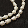 Natural Pearl Beads Necklaces NJEW-F144-03-01-3