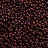 TOHO 6/0 Round Beads X-SEED-TR06-0703-3