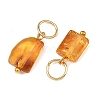 Natural Amber Pendants PALLOY-JF06049-2