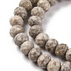 Natural Conch Fossil Beads Strands G-K380-A41-01-4