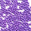 Baking Paint Glass Seed Beads SEED-A032-02T-3