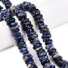 Natural Sodalite Beads Strands G-T141-08-2