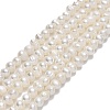 Natural Cultured Freshwater Pearl Beads Strands PEAR-F018-13B-01-1