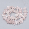 Natural Rose Quartz Beads Strands G-S338-17-2