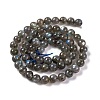 Grade AA Natural Gemstone Labradorite Round Beads Strands G-E251-33-6mm-01-5