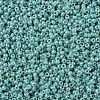 MIYUKI Round Rocailles Beads SEED-G007-RR0481-3