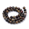 Natural Dendritic Jasper Beads Strands G-S259-10-10mm-2