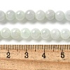 Natural Myanmar Jadeite Beads Strands G-L595-C01-01B-5