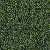 MIYUKI Round Rocailles Beads X-SEED-G007-RR0350-4