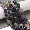 Natural Fluorite Beads Strands G-Q169-E07-01-2