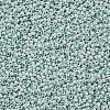 11/0 FGB Grade A Round Glass Seed Beads SEED-N001-B-0487-2