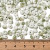 Baking Paint Glass Seed Beads SEED-F006-01A-05-4