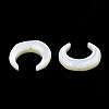 Natural White Shell Beads SSHEL-N034-122B-03-4