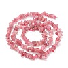 Chips Natural Red Tourmaline Beads Strands G-N0164-29-4