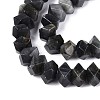 Natural Larvikite Beads Strands G-D091-A29-3