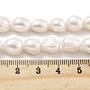 Natural Cultured Freshwater Pearl Beads Strands PEAR-P062-26B-5
