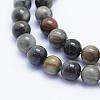 Natura Hawk's Eye Beads Strands G-D0001-22C-6mm-2