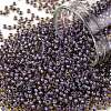 TOHO Round Seed Beads SEED-TR11-0926-1