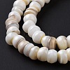 Natural Cultured Freshwater Shell Beads Strands SHEL-F002-01D-5