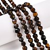 Natural Tiger Eye Beads Strands G-T138-227-1