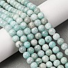 Natural Amazonite Beads Strands G-K068-03-6mmA-1