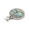 304 Stainless Steel with Paua Shell Pendants STAS-G268-02I-P-3