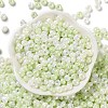 Glass Seed Beads SEED-L011-03A-17-2