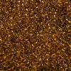 TOHO 6/0 Round Beads SEED-TR06-2155-3