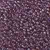 TOHO Round Seed Beads X-SEED-TR08-0166-2