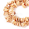 1 Strand Natural Seashell Shell Beads Strands SSHEL-TA0001-13-2