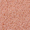 MIYUKI Round Rocailles Beads SEED-JP0008-RR0543-3