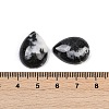 Natural Zebra Jasper Cabochons G-H094-01A-09-3