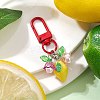 Fruit Resin & Acrylic Pendant Decorations HJEW-JM02987-03-2